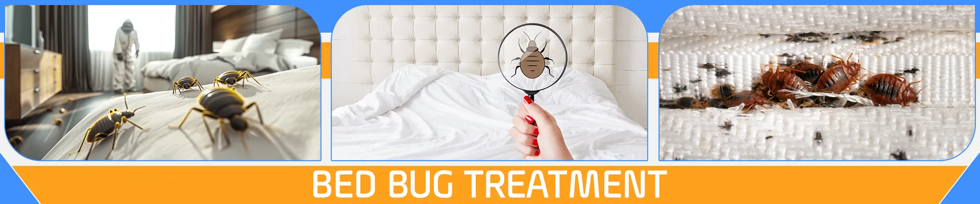 carpet cleaning in NYC, carpet cleaning in new york, carpet cleaning NYC, carpet cleaners in NYC, carpet cleaners in new york, commercial carpet cleaning, commercial carpet cleaning in NYC, NYC rug cleaners, rug cleaning services in NYC, same day carpet cleaning, same day rug cleaning