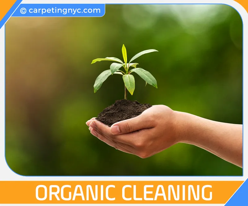 carpet cleaning in NYC, carpet cleaning in new york, carpet cleaning NYC, carpet cleaners in NYC, carpet cleaners in new york, commercial carpet cleaning, commercial carpet cleaning in NYC, NYC rug cleaners, rug cleaning services in NYC, same day carpet cleaning, same day rug cleaning